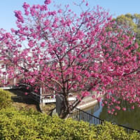 青春１８切符が大改悪されてた！