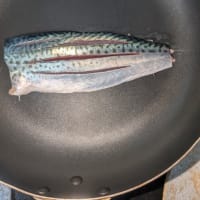 さて、今日の晩飯はどうするかなぁ