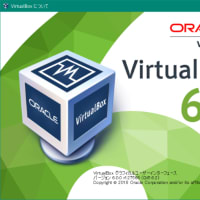 VirtualBox 6.1.36 が起動しない