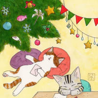 サンタさんを待っているうちに寝落ちしてしまった子猫たち