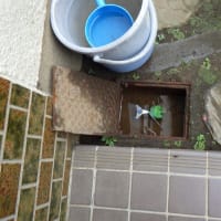 ここでを漏水してました