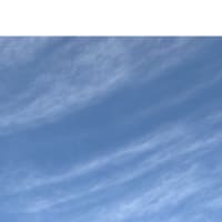 今日いち-2025年2月16日