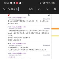 シュンガイトが出て来た！(短文 見出し文くらい。後で追加書く)今15時過ぎに追記書いた。
