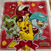 ポケモン バイオレットをクリア その後のゲーム配信