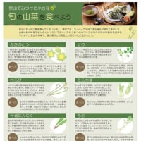 現在の出来事　ミムラ通信発行中φ(..)メモメモ