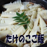 GWタケノコも旨いんだぜぇ～！筍メンマ。京都の枯れた竹林と山口の実家の竹林の比較・・・