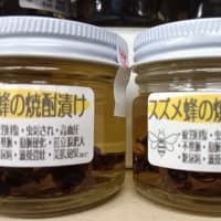 スズメバチの焼酎漬け～北丹沢の麓　高城商店
