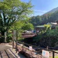 自然の中でブログ更新