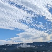 コーヒー選び