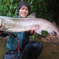 北海道 イトウ弾丸釣行