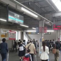 6/9-10　元気かい　散髪　たまプラーザ