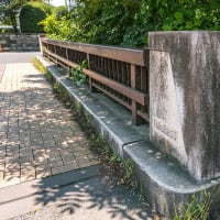 6月29日(日) 12日例会「一橋学園駅-小金井公園-境浄水場脇-三鷹駅」の下見-3-1