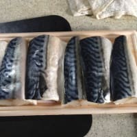 さばの味噌煮と水菜のサラダ