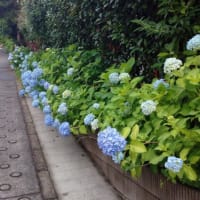 じっとしているのは重労働だもん！