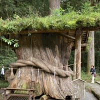 遠州森町　小國神社