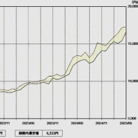 1ｇ17,556円