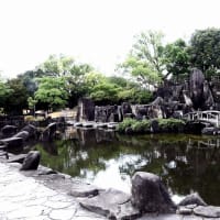 サツキ