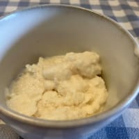 羅漢 糖と牛乳で作る　糖質ゼロのアイス