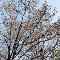 六義園八十八境　霞入江