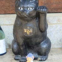 黒猫大明神