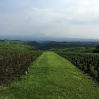 熊本の避暑地　小国、産山村（うぶやま村）熊本の北海道、私の勝手な思い、熊本市内では、３７℃の猛暑、行ってみた、