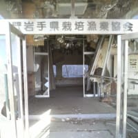 大船渡再訪（２０１１年１１月）