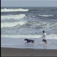 「行雲流水　by Knight」僕の足跡・・・2025。