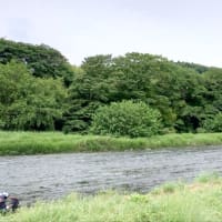【釣】初心者鮎釣り教室　（2025/06/17　中津川　鮎）