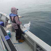 2025　6/20　釣果報告