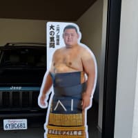 大の里関❣️ オットの北海道土産を携えて帰宅