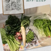 清水農園の野菜定期便@常総生協