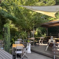 森の妖精達の待つカフェ in カフェピッコロ