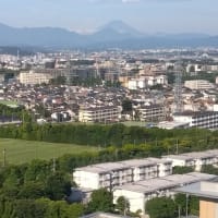 パソコン壊れてる？、私は生きてる