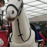 馬が難波ウォークに居たよ