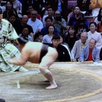 大関大の里が横綱昇進へ２場所連続優勝