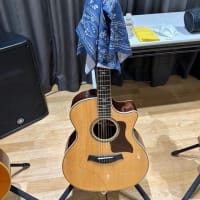 手持ちギターのご紹介（第5回）　Taylor 814ce