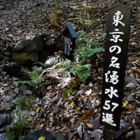 滄浪泉園（そうろうせんえん）へ
