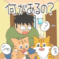 「ルキとサンは野良出身」