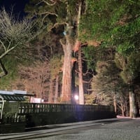 霧島神宮にて