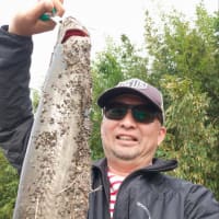相模川バス釣り