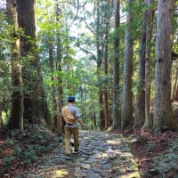 朱色の社殿が鮮やか｢熊野那智大社｣～GW三重和歌山旅行⑨