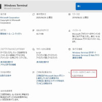 Windows Terminal 1.22.11751.0 （ストア版）がリリースされました。