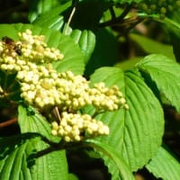 信貴山　散策