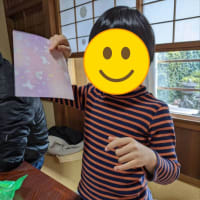 目の中に入れたら…？