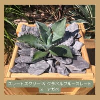 【施工例シリーズ】DIY　+ICHICAFE NAGOYA 様