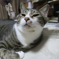 遊び終わって明日を夢見る