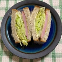 今日いち-2024年9月4日