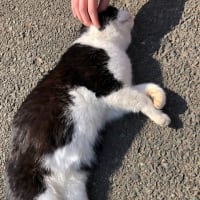 いつか