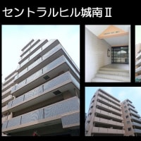 ☆セントラルヒル城南Ⅱ７０５　東南角部屋　『　ＳＵＮ×３　』　☆１ＬＤＫ約４０㎡