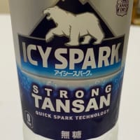 ウォッカと強炭酸無糖飲み比べ